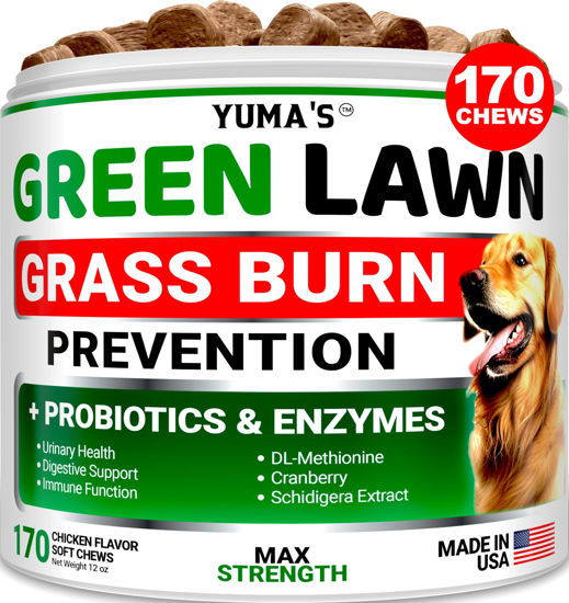 Picture of Dog Urine Neutralizer for Lawn - 170 Chews - Advanced Grass Green Savers for Dog Urine - Canine Pee Grass Neutralizer Supplement - Green Lawn Treats with Probiotics and Digestive Enzymes