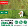 Picture of Dog Urine Neutralizer for Lawn - 170 Chews - Advanced Grass Green Savers for Dog Urine - Canine Pee Grass Neutralizer Supplement - Green Lawn Treats with Probiotics and Digestive Enzymes