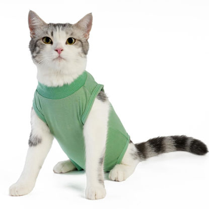 Picture of kzrfojy Cat Surgery Recovery Suit Professional for Surgical Abdominal Wound Or Skin Diseases E-Collar Alternative for Cats Dogs After Surgery Wear Pajama Suit (Green, Medium)