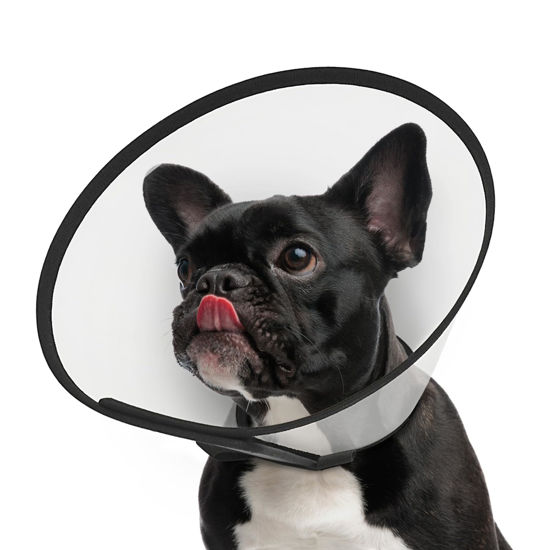 Picture of Supet Adjustable Dog Cone Collar After Surgery, Cone for Dogs to Stop Licking,E Collar for Medium Small Dogs, Pet Recovery Collar & Cone,Plastic Cone of Shame for Dogs, Dog Head Neck Cone (S-)