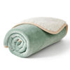Picture of Bedsure Waterproof Dog Blankets for Small Dogs - Small Cat Blanket Washable for Couch Protection, Sherpa Fleece Puppy Blanket, Soft Plush Reversible Throw Furniture Protector, 25"X35", Light Green