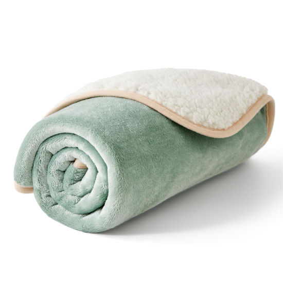 Picture of Bedsure Waterproof Dog Blankets for Small Dogs - Small Cat Blanket Washable for Couch Protection, Sherpa Fleece Puppy Blanket, Soft Plush Reversible Throw Furniture Protector, 25"X35", Light Green