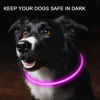 Picture of Novkin 2-Pack LED Dog Collar, Light Up Dog Collars,Rechargeable Dog Lights for Night Walking，Universal, Reusable Safety Necklace for Small Medium Large Dogs RED&Pink