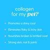 Picture of Skin and Coat Supplement for Dogs, Cats | Taily Liquid Collagen for Dogs | Itch Relief for Dogs with Allergies, with Grass Fed Collagen, Biotin, Vitamin C and Hyaluronic Acid | Made in USA