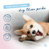 Picture of Benebone Puppy Maplestick Dog Chew Toy, Made in USA, Real Maple Wood Flavor, Small, Brown