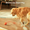 Picture of 【New Material】Cheerble Smart Interactive Dog Toy, Wicked Ball AIR, Automatic Moving, Bouncing, and Rotating Ball, E-TPU Material, IPX7 Waterproof Rating, Active Rolling Ball for Medium and Large Dogs