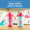 Picture of Dr. Brown's Milestones Insulated Sippy Cup with Straw and Handles, Spill-Proof Tumbler with Lid, 2-Pack, Pink, 10 oz/300 mL, BPA Free, 12m+