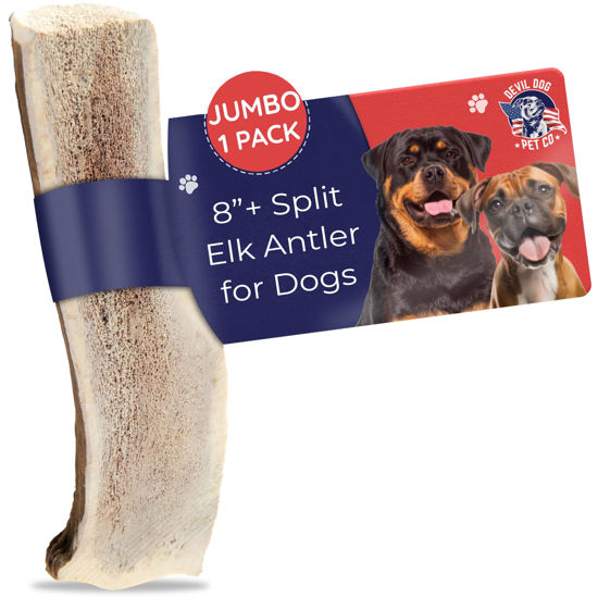 Picture of Devil Dog Pet Co. Split Elk Antlers for Dogs, 1 Pack, Jumbo 8”+, Grade A Long Lasting Dog Bones for Aggressive Chewers, Premium USA Naturally Shed Antler Dog Chew - No Odor, Dog Antler Chews