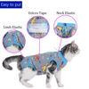 Picture of kzrfojy Cat Surgery Recovery Suit Professional for Surgical Abdominal Wound Or Skin Diseases E-Collar Alternative for Cats Dogs After Surgery Wear Pajama Suit (Gray, Large)