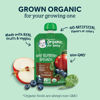 Picture of Gerber Organic Baby Food Pouches, 2nd Foods for Sitter, Pear Spinach, 3.5 Ounce (Pack of 12)