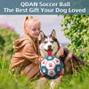 Picture of QDAN Dog Toys Extra Large Soccer Ball with Straps, Interactive Toys for Tug of War, Puppy Birthday Toy, Dog Water Toy, Dog Balls for Large Dog -Blue&Red (9 Inch)
