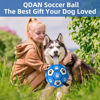 Picture of QDAN Extra Large Dog Toys Soccer Ball - Durable Dog Balls for Extra Large Dogs with Straps, Outdoor Dog Toys, Dog Water Toy, Herding Ball (9 Inch)