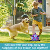 Picture of QDAN Dog Toys Soccer Ball - Durable Dog Balls with Strap for Medium Small Dogs, Puppy Birthday Gifts, Dog Tug Toy for Tug of War (8 Inch)