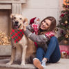 Picture of ADOGGYGO Christmas Dog Bandanas with Tassels Edges, Red Green Plaid Dog Christmas Scarf Bib, Multiple Sizes Offered, Christmas Bandanas for Large and Extra Large Dogs Pets (Christmas-2, X-Large)