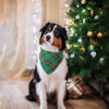 Picture of ADOGGYGO Christmas Dog Bandanas with Tassels Edges, Red Green Plaid Dog Christmas Scarf Bib, Multiple Sizes Offered, Christmas Bandanas for Large and Extra Large Dogs Pets (Christmas-2, X-Large)