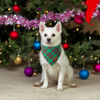 Picture of ADOGGYGO Christmas Dog Bandanas with Tassels Edges, Red Green Plaid Dog Christmas Scarf Bib, Multiple Sizes Offered, Christmas Bandanas for Small Dogs Puppies (Christmas-2, Small)