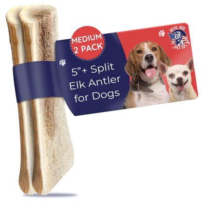 Picture of Devil Dog Pet Co. Split Elk Antlers for Dogs, 2 Pack, Medium 5”+, Grade A Long Lasting Dog Bones for Aggressive Chewers, Premium USA Naturally Shed Antler Dog Chew - No Odor, Dog Antler Chews