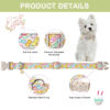 Picture of Unique style paws Easter Day Dog Collar Plastic Buckle Collar with Pendant Blue Sports Rabbit Ball Egg Puppy Collars Gift for Small Medium Large Boys Girls Dogs
