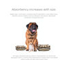 Picture of Pet Parents Premium Washable Belly Bands for Male Dogs & Extendrs, (3pack) of Male Dog Diapers & Male Dog Belly Bands, Dog Diapers Male (Oxford, Small)