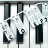Picture of BEATBIT Piano Note Strips with Solfege (Do Re Mi…), Fit 61/54/49 Key Piano Learning, Removable Piano Keyboard Stickers