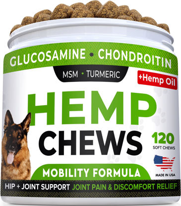 Picture of STRELLALAB Hemp Treats + Glucosamine for Dogs - Hip & Joint Supplement - w/Hemp Oil + Protein - Chondroitin, MSM, Turmeric to Improve Mobility & Energy - Natural Joint Pain Relief - Bacon Flavor