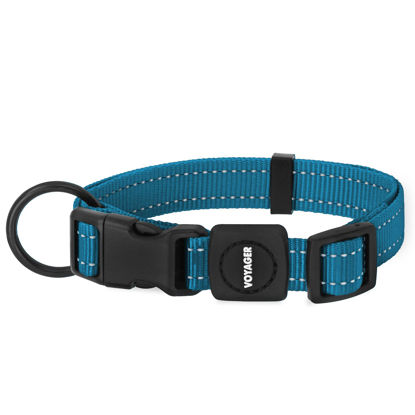 Picture of Best Pet Supplies Reflective Dog Collar with Adjustable Length, Heavy-Duty Buckle, and Strong Leash D-Ring, Training, Walking, Jogging Accessory for Small, Medium, and Large Breeds - Turquoise, L