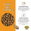 Picture of Dr. Elsey's Clean Protein Turkey Dry Cat Food - Cat Kibble Dry Food for All Cats - Protein-Rich Healthy Cat Food w/Natural Ingredients, No Fillers & Grains Cat Dry Food (2lb, Pack of 1)