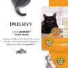 Picture of Dr. Elsey's Clean Protein Turkey Dry Cat Food - Cat Kibble Dry Food for All Cats -Protein-Rich Healthy Cat Food w/Natural Ingredients, No Fillers & Grains Cat Dry Food (6.6lb Pack of 1)
