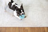 Picture of JW Pet HOL-ee Roller™, Dog Toy Puzzle Ball, Natural Rubber, Small (3 Inch Diameter), Blue
