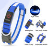 Picture of Vizpet LED Dog Collar, Light Up Dog Collar Adjustable USB Rechargeable Super Bright Safety Light Glowing Collars for Dogs(Small,Blue)