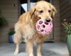 Picture of JW Pet HOL-ee Roller™, Dog Toy Puzzle Ball, Natural Rubber, Large (5.5” Inch Diameter), Pink