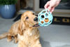 Picture of JW Pet HOL-ee Roller™, Dog Toy Puzzle Ball, Natural Rubber, Large (5.5” Inch Diameter), Blue