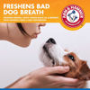 Picture of Arm & Hammer for Pets Tartar Control Dental Spray for Dogs | Dog Dental Spray Reduces Plaque & Tartar Buildup Without Brushing | Mint Flavor, 4 Ounces (Pack of 2)