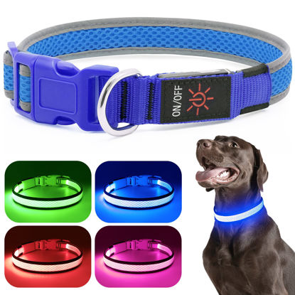 Picture of LED Dog Collar, Light Up Dog Collar USB Rechargeable, Brightest Dog Lights for Night Walking, Adjustable Dog Collar Light for Dog Safety(Small, Royal Blue)