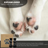 Picture of EXPAWLORER Anti Slip Dog Socks to Prevent Licking Paws, Dog Shoes for Hot Pavement, Dog Booties for Small Medium Large Senior Dogs, Traction Control Dog Boots & Paw Protectors for Hardwood Floors
