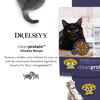 Picture of Dr. Elsey's cleanprotein Chicken Cat Kibble 6.6-lb. Bag