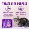 Picture of Stella & Chewy's Meowfulls Freeze Dried Cat Treats Whitefish & Salmon Recipe, 1.5 oz Bag