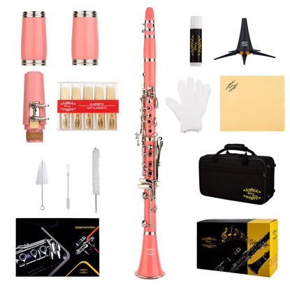 Picture of Glory GLY-CLAPK Professional Ebonite Bb Clarinet with 10 Reeds, Stand, Hard Case, Cleaning Cloth, Cork Grease, Mouthpiece Brush and Pad Brush,Pink/Silver