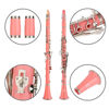 Picture of Glory GLY-CLAPK Professional Ebonite Bb Clarinet with 10 Reeds, Stand, Hard Case, Cleaning Cloth, Cork Grease, Mouthpiece Brush and Pad Brush,Pink/Silver