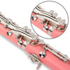 Picture of Glory GLY-CLAPK Professional Ebonite Bb Clarinet with 10 Reeds, Stand, Hard Case, Cleaning Cloth, Cork Grease, Mouthpiece Brush and Pad Brush,Pink/Silver