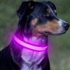 Picture of VIZPET LED Dog Collar, Light Up Dog Collar Adjustable USB Rechargeable Super Bright Safety Light Glowing Collars for Dogs (Purple, Small[11.02-15.74 inch/28-40cm])