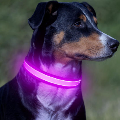 Picture of VIZPET LED Dog Collar, Light Up Dog Collar Adjustable USB Rechargeable Super Bright Safety Light Glowing Collars for Dogs (Purple, Small[11.02-15.74 inch/28-40cm])