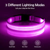 Picture of VIZPET LED Dog Collar, Light Up Dog Collar Adjustable USB Rechargeable Super Bright Safety Light Glowing Collars for Dogs (Purple, Small[11.02-15.74 inch/28-40cm])