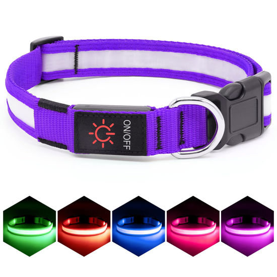 Picture of VIZPET LED Dog Collar, Light Up Dog Collar Adjustable USB Rechargeable Super Bright Safety Light Glowing Collars for Dogs (Purple, Medium[14.96-19.68 inch/38-50cm])