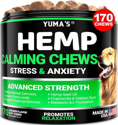 Picture of YUMA'S Hemp Calming Chews for Dogs - Advanced Dog Calming Chews - 170 Chews - Anxiety Relief Treats - Separation Aid, Barking, Stress Relief, Thunderstorms - Melatonin - Hemp Oil - Made in USA