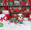 Picture of Fitwarm Christmas Dog Pajamas, Dog Winter Clothes for Small Dogs Boy Girl, Lightweight Velvet Pet Jammies, Reindeer, Red, Green, XXL