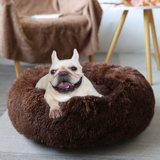 Picture of Puppy Beds for Small Dogs Washable Donut Fluffy Soft Dog Bed Anti Anxiety Orthopedic Warm Comfort Pets Beds 23 Inches