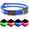 Picture of Vizpet LED Dog Collar, Light Up Dog Collar Adjustable USB Rechargeable Super Bright Safety Light Glowing Collars for Dogs(X-Large,Blue)