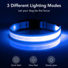 Picture of Vizpet LED Dog Collar, Light Up Dog Collar Adjustable USB Rechargeable Super Bright Safety Light Glowing Collars for Dogs(X-Large,Blue)