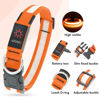 Picture of Vizpet LED Dog Collar, Light Up Dog Collar Adjustable USB Rechargeable Super Bright Safety Light Glowing Collars for Dogs(Large,Orange)